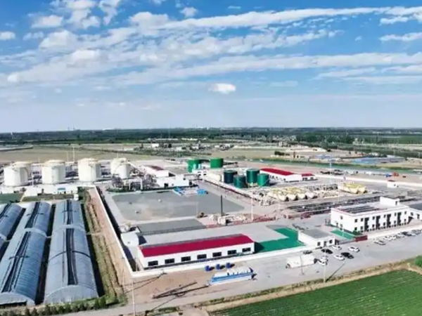 Bayan Oilfield Achieves Dual Growth in Output and Efficiency through Targeted Production and Stable 