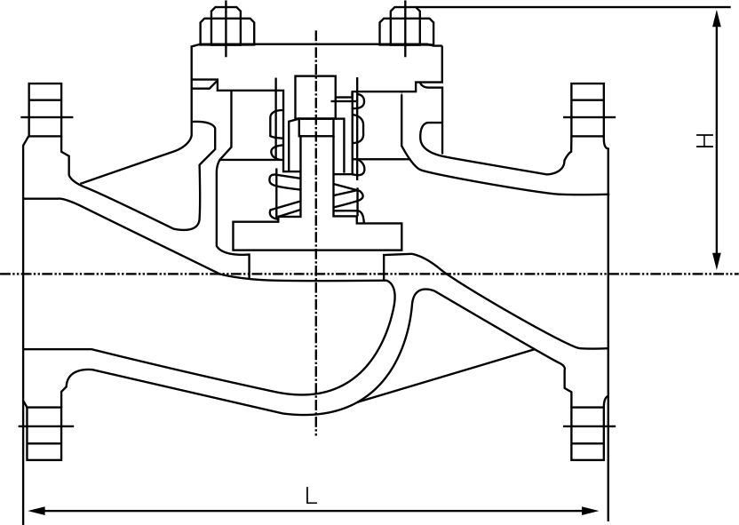 Lift Check Valve(图1)